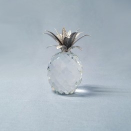 Ananas Groot Zilver